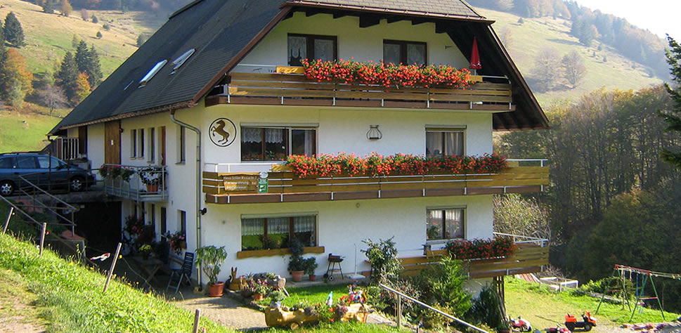 Bauernhof Stiller Winkel Wieden - Schwarzwald